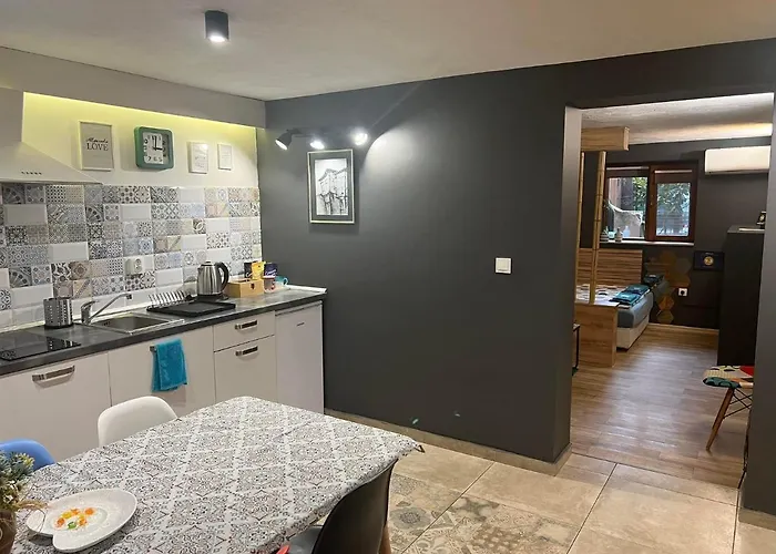 Garden * 普罗夫迪夫